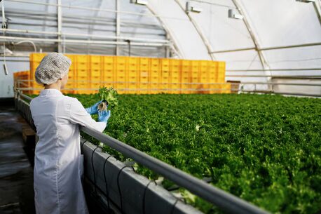 Lebensmittelproduktion 8